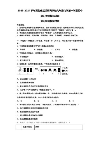 2023-2024学年湖北省武汉梅苑学校九年级化学第一学期期中复习检测模拟试题含解析.doc