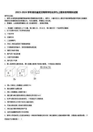 2023-2024学年湖北省武汉梅苑学校化学九上期末统考模拟试题含解析.doc