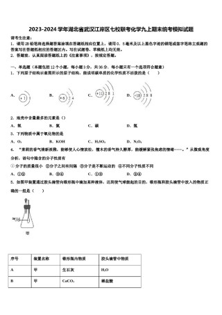 2023-2024学年湖北省武汉江岸区七校联考化学九上期末统考模拟试题含解析.doc