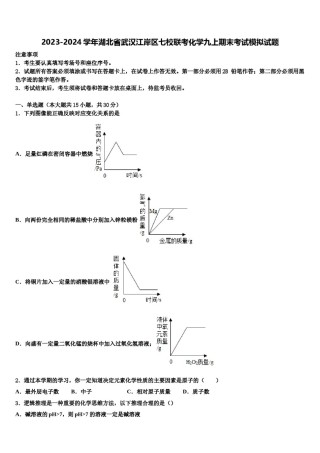 2023-2024学年湖北省武汉江岸区七校联考化学九上期末考试模拟试题含解析.doc