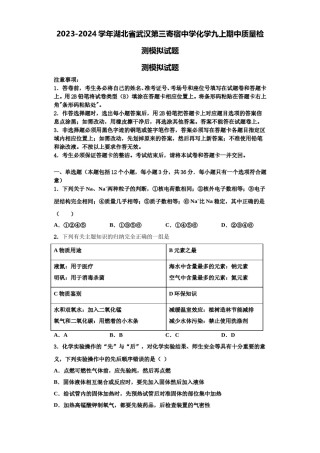 2023-2024学年湖北省武汉第三寄宿中学化学九上期中质量检测模拟试题含解析.doc