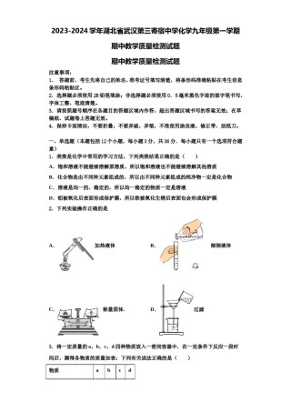 2023-2024学年湖北省武汉第三寄宿中学化学九年级第一学期期中教学质量检测试题含解析.doc