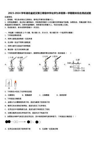 2023-2024学年湖北省武汉第三寄宿中学化学九年级第一学期期末综合测试试题含解析.doc