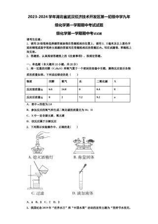 2023-2024学年湖北省武汉经济技术开发区第一初级中学九年级化学第一学期期中考试试题含解析.doc