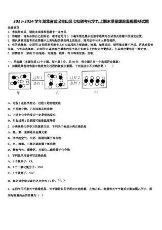 2023-2024学年湖北省武汉青山区七校联考化学九上期末质量跟踪监视模拟试题含解析.doc