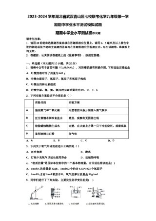 2023-2024学年湖北省武汉青山区七校联考化学九年级第一学期期中学业水平测试模拟试题含解析.doc