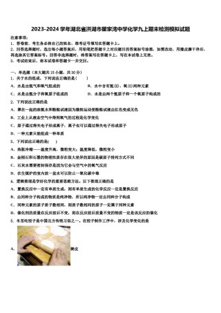 2023-2024学年湖北省洪湖市瞿家湾中学化学九上期末检测模拟试题含解析.doc