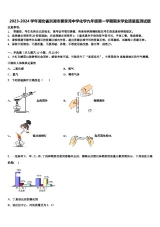 2023-2024学年湖北省洪湖市瞿家湾中学化学九年级第一学期期末学业质量监测试题含解析.doc