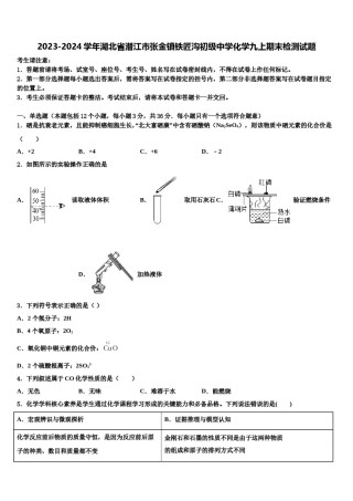 2023-2024学年湖北省潜江市张金镇铁匠沟初级中学化学九上期末检测试题含解析.doc