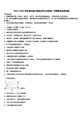 2023-2024学年湖北省竹溪县化学九年级第一学期期末监测试题含解析.doc