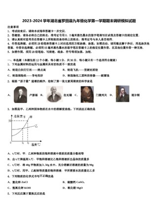 2023-2024学年湖北省罗田县九年级化学第一学期期末调研模拟试题含解析.doc