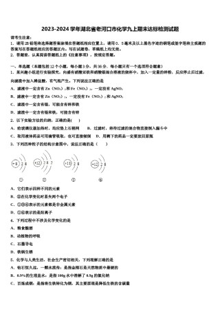 2023-2024学年湖北省老河口市化学九上期末达标检测试题含解析.doc