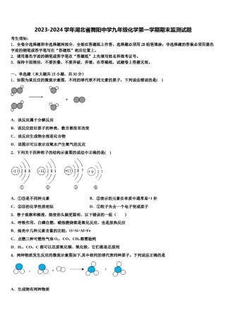 2023-2024学年湖北省舞阳中学九年级化学第一学期期末监测试题含解析.doc