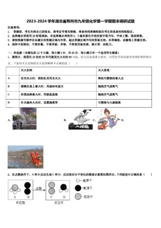 2023-2024学年湖北省荆州市九年级化学第一学期期末调研试题含解析.doc