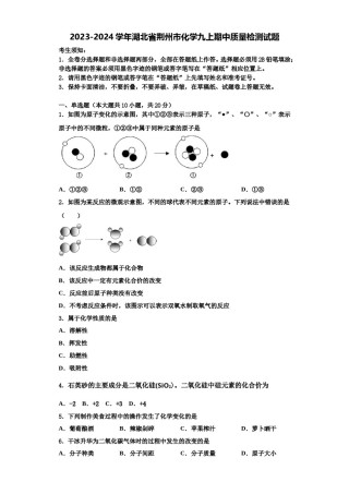 2023-2024学年湖北省荆州市化学九上期中质量检测试题含解析.doc