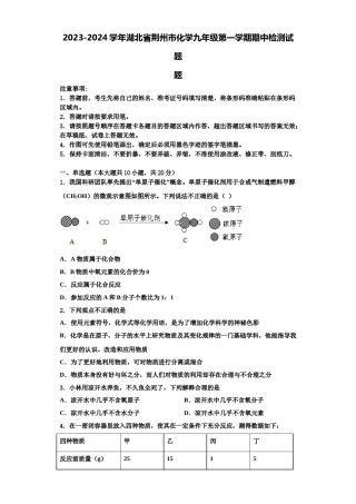 2023-2024学年湖北省荆州市化学九年级第一学期期中检测试题含解析.doc