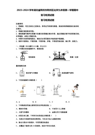 2023-2024学年湖北省荆州市荆州区化学九年级第一学期期中复习检测试题含解析.doc