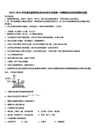 2023-2024学年湖北省荆州松滋市化学九年级第一学期期末达标检测模拟试题含解析.doc