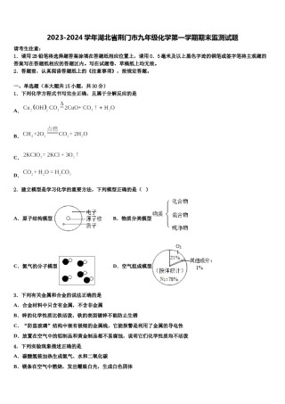 2023-2024学年湖北省荆门市九年级化学第一学期期末监测试题含解析.doc