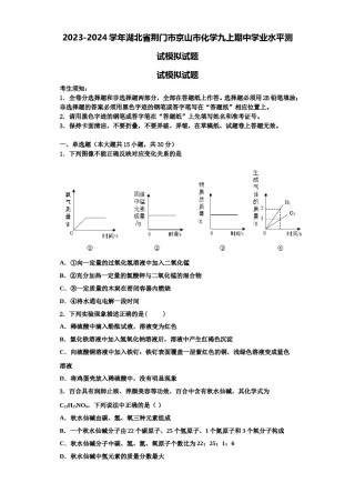 2023-2024学年湖北省荆门市京山市化学九上期中学业水平测试模拟试题含解析.doc