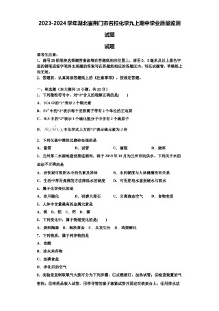 2023-2024学年湖北省荆门市名校化学九上期中学业质量监测试题含解析.doc