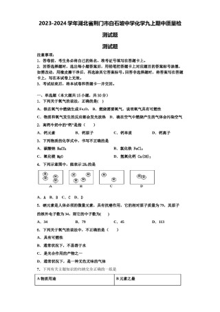 2023-2024学年湖北省荆门市白石坡中学化学九上期中质量检测试题含解析.doc