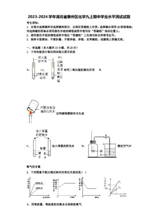 2023-2024学年湖北省襄州区化学九上期中学业水平测试试题含解析.doc
