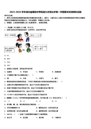 2023-2024学年湖北省襄阳市枣阳县九年级化学第一学期期末检测模拟试题含解析.doc