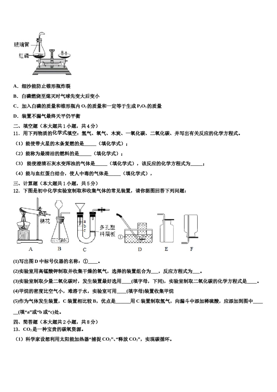 2023-2024学年湖北省襄阳市枣阳实验中学化学九上期末学业水平测试模拟试题含解析.doc_第3页