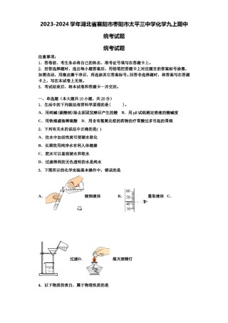 2023-2024学年湖北省襄阳市枣阳市太平三中学化学九上期中统考试题含解析.doc