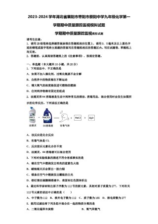 2023-2024学年湖北省襄阳市枣阳市蔡阳中学九年级化学第一学期期中质量跟踪监视模拟试题含解析.doc