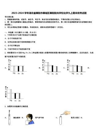2023-2024学年湖北省襄阳市襄城区襄阳阳光学校化学九上期末统考试题含解析.doc