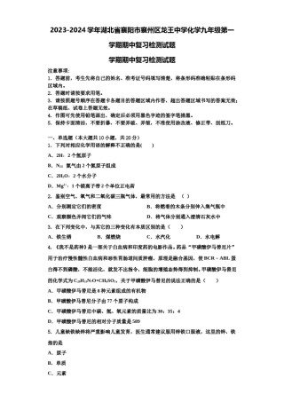 2023-2024学年湖北省襄阳市襄州区龙王中学化学九年级第一学期期中复习检测试题含解析.doc