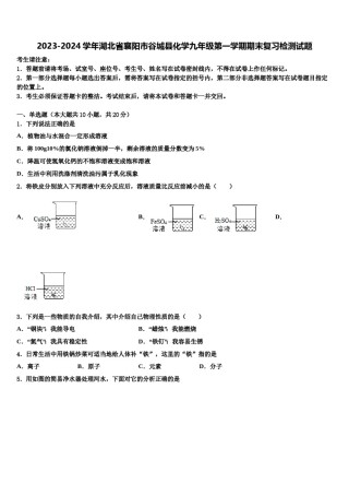 2023-2024学年湖北省襄阳市谷城县化学九年级第一学期期末复习检测试题含解析.doc