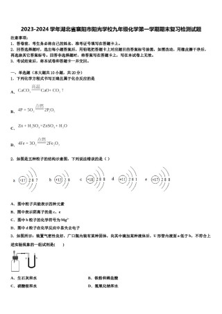 2023-2024学年湖北省襄阳市阳光学校九年级化学第一学期期末复习检测试题含解析.doc