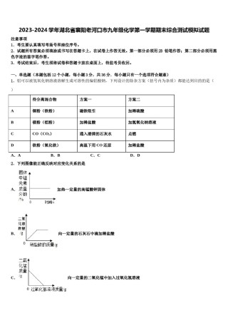 2023-2024学年湖北省襄阳老河口市九年级化学第一学期期末综合测试模拟试题含解析.doc