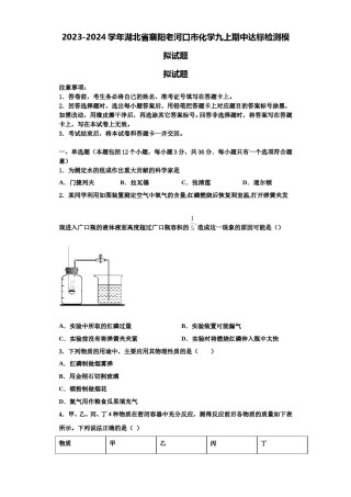 2023-2024学年湖北省襄阳老河口市化学九上期中达标检测模拟试题含解析.doc