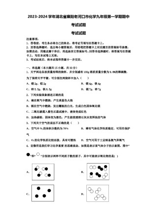 2023-2024学年湖北省襄阳老河口市化学九年级第一学期期中考试试题含解析.doc