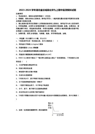 2023-2024学年湖北省谷城县化学九上期中监测模拟试题含解析.doc