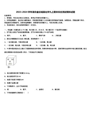 2023-2024学年湖北省谷城县化学九上期末综合测试模拟试题含解析.doc