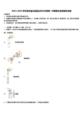 2023-2024学年湖北省谷城县化学九年级第一学期期末监测模拟试题含解析.doc