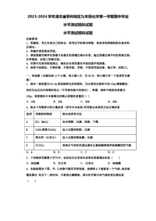2023-2024学年湖北省鄂州地区九年级化学第一学期期中学业水平测试模拟试题含解析.doc