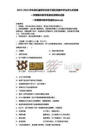 2023-2024学年湖北省鄂州市梁子湖区吴都中学化学九年级第一学期期中教学质量检测模拟试题含解析.doc