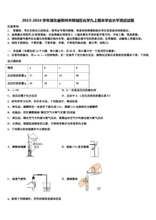 2023-2024学年湖北省鄂州市鄂城区化学九上期末学业水平测试试题含解析.doc