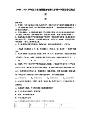 2023-2024学年湖北省阳新县九年级化学第一学期期中经典试题含解析.doc