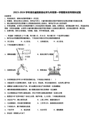 2023-2024学年湖北省阳新县化学九年级第一学期期末统考模拟试题含解析.doc