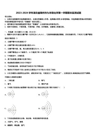 2023-2024学年湖北省随州市九年级化学第一学期期末监测试题含解析.doc