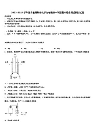 2023-2024学年湖北省随州市化学九年级第一学期期末综合测试模拟试题含解析.doc