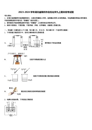 2023-2024学年湖北省随州市名校化学九上期末统考试题含解析.doc