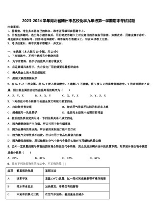 2023-2024学年湖北省随州市名校化学九年级第一学期期末考试试题含解析.doc